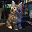 LUNA