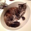 MIA HAS CLAIMED THE SINK
